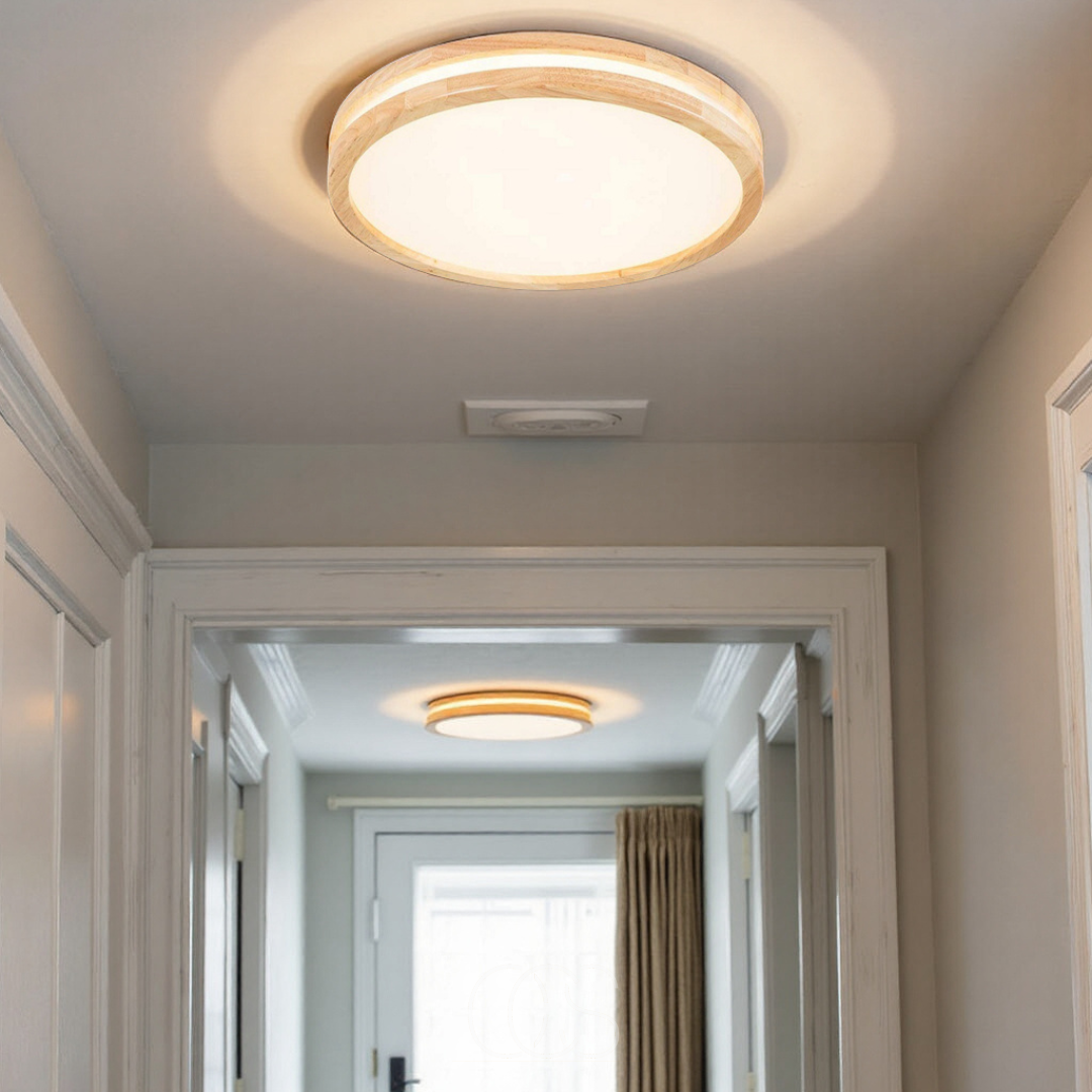 Nievk - Basic modern LED ceiling lamp