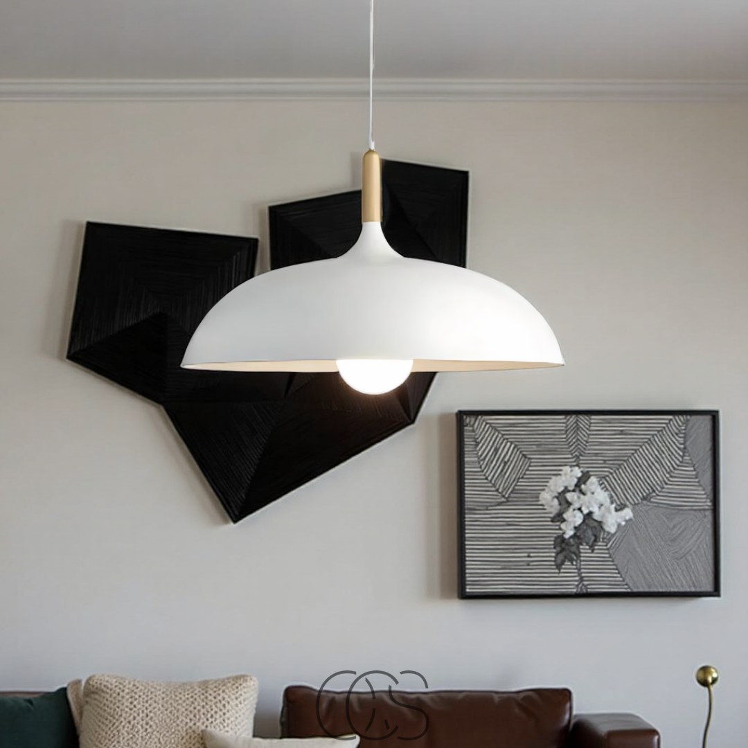 Nievk - Modern Matte Black Ceiling Lamp