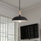 Nievk - Modern Matte Black Ceiling Lamp
